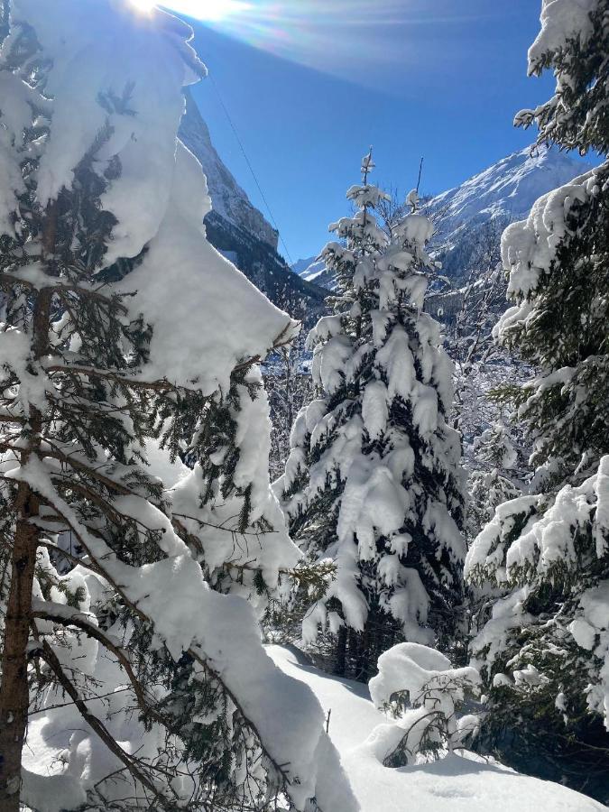 Hotel L'Edelweiss Pralognan-la-Vanoise Esterno foto
