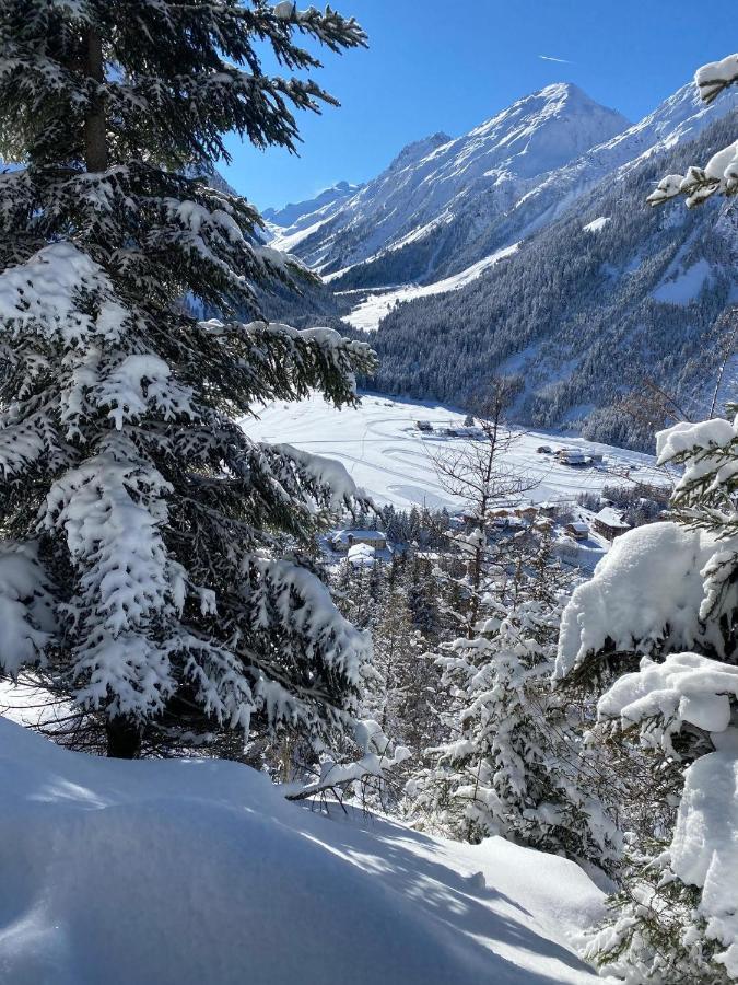 Hotel L'Edelweiss Pralognan-la-Vanoise Esterno foto